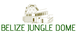 jungle-dome3